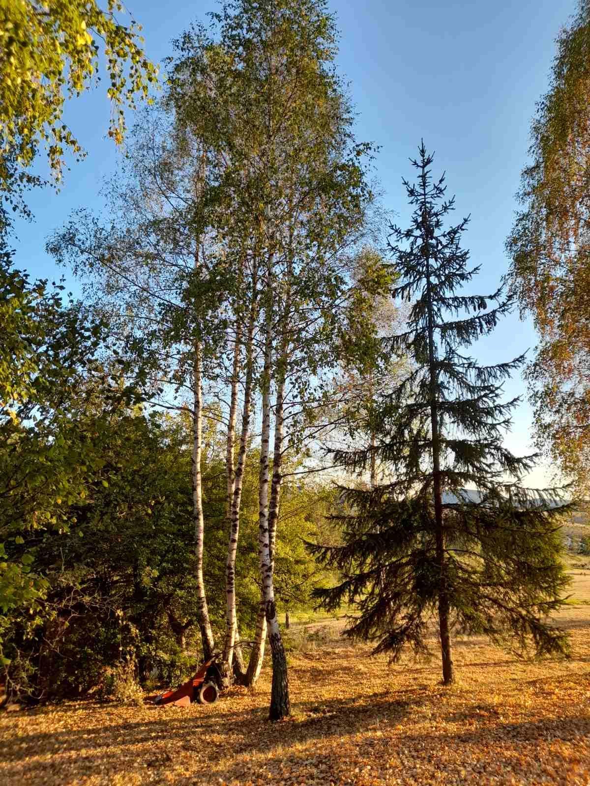 Квартира, 64583 м², 452 987$ — FAKTOR